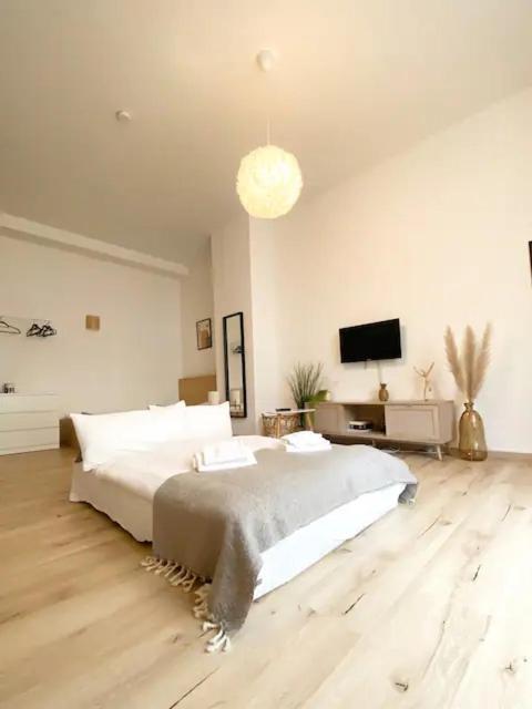 Ruhige Und Stilvolle Wohnung Am Clara-Zetkin-Park Leipzig Eksteriør billede